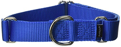 PetSafe Adjustable Martingale Collar - Only Tightens When Dogs Pull, Prevents Slipping Out - Helps with Strong Pullers, Increased Control - Alternative to Choke Collar - 1", Medium, Royal Blue