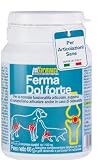 FERMADOL Forte Integratore Articolazioni Cane e Gatto con Glucosamina, Condroitina, Artiglio del Diavolo, Supporto Antidolorifico per Articolazioni Mobilità Cani Anziani – 60cps