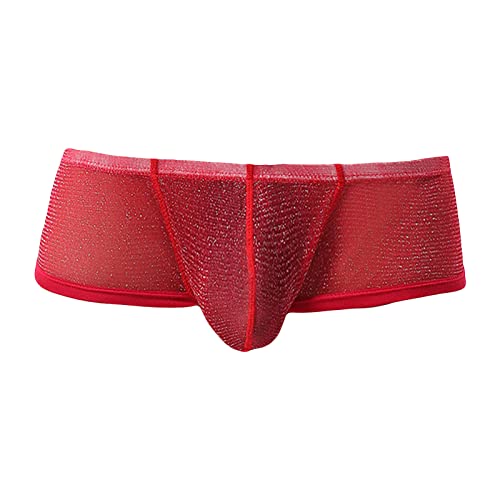 JEsilunmaMY Mens U Convex Boxer Briefs Low Waist Mesh Sheer Bulge Pouch Panties Solid Color Breathable Underwear Swimsuit