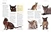 Complete Book of Cats: A Comprehensive Encyclopedia of Cats with a Fully Illustrated Guide to Breeds and Over 1500 Photographs