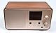 ESP Muse Radio 22W Internet Radio Screen Squeezelite Home Assistant ESP32 S3 Voice