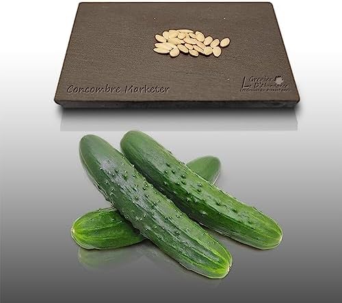 Graines Bio à Semer - Tomate Black Zebra- Association Kokopelli