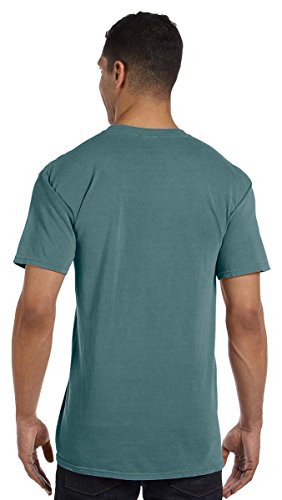 Image of Comfort Colors Adult Short Sleeve Tee, Style G1717