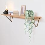 Fake Hanging Plant Eucalyptus Artificial Faux Plants Indoor Small Wall Greenery Decor for Floating Shelf Soft Green 2PCS 23Inch Long