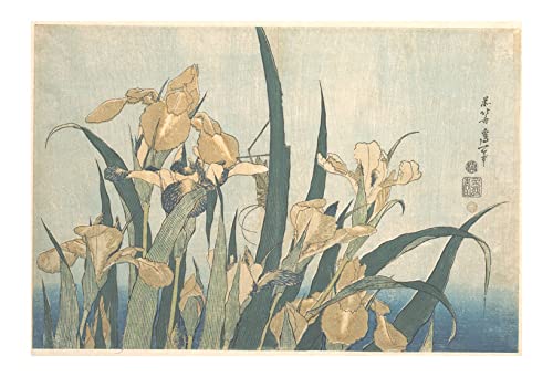 Katsushika Hokusai Grasshopper & Iris estampe de collection encadrée
