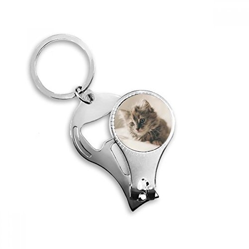 Ongle cassé en voyage ? Solution coupe-ongles chat gris avec clés - 2