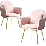 Napfox Furniture Velvet Living Dining Room Set of 2 Accent Arm Chairs Upholstered Seat Club Guest Mid Century Chair with Golden Metal Legs (Pink)