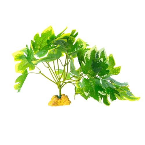 ঒ރNC~OOXeEAeEރgJQwrlHȂ