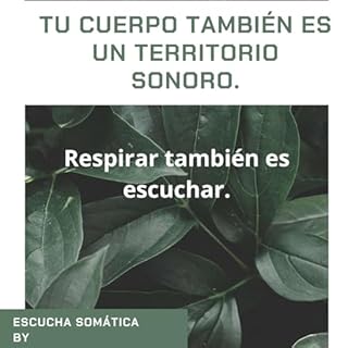 Escucha Somatica Audiolibro Por John arte de portada