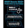Black Forest NMN 1000mg NAD Support Supplement and Turkesterone 500mg Strength Performance Bundle with BioPerine Enhanced Absorption
