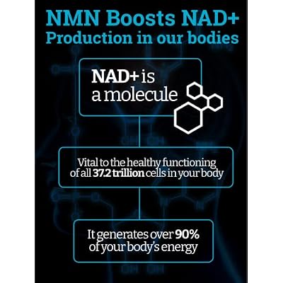 Black Forest NMN 1000mg NAD Support Supplement and Turkesterone 500mg Strength Performance Bundle with BioPerine Enhanced Absorption