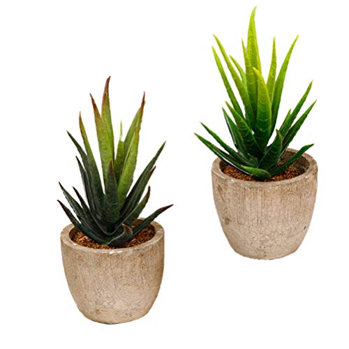 VOSAREA 2 peças de plantas suculentas artificiais Aloe em vaso de flores cafeteria decoração escolar