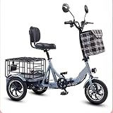 RASHIV Triciclo eléctrico Plegable, Triciclo eléctrico de Litio 48V12A, Ajuste de Velocidad de 3 velocidades, con Cesta Delantera y Trasera, Carga...
