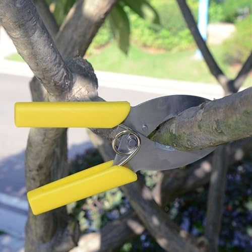Juego de 2 Tijeras Profesionales para Poda de Plantas miniatura 6