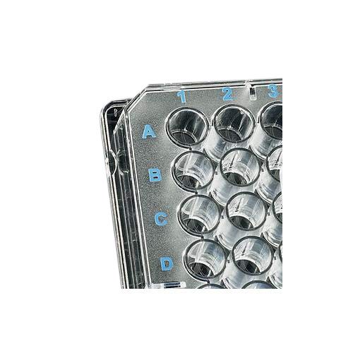 マイクロ・ナノ化学チップと医療・環境・バイオ分析 北森武彦