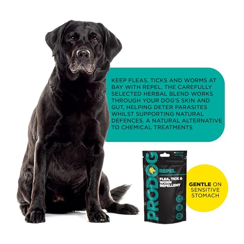 ProDog Repel Plant Based Flea, Tick & Worm Supplement for Dogs - Daily Herbal Gut, Skin & Immune Support | Meal Topper with Kelp, Neem, Black Cumin & Holy Basil | For Dogs 6 Months+ - 150g - Image 4