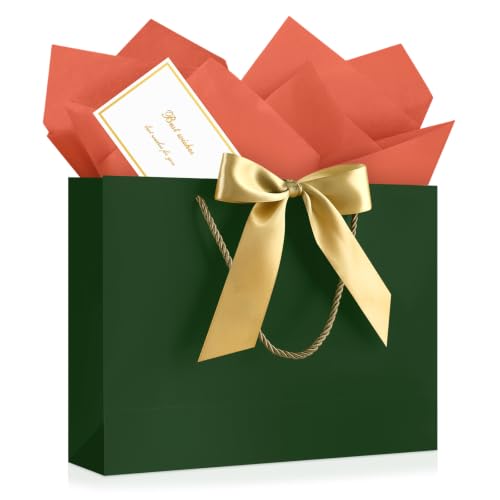 Image of JMANNI Gift Bags with Handles, 13 inch Medium Gift Bags with Tissue Paper