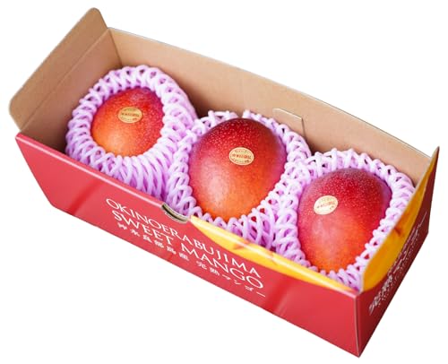 [竹マンゴーファーム]竹マンゴーファームの完熟マンゴー1キロ(2〜3個入り)