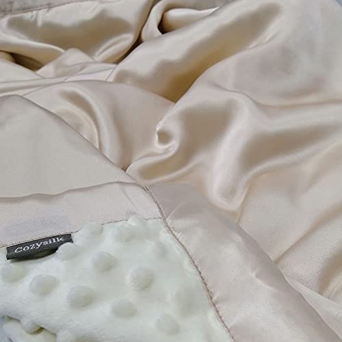 Image of Baby Soft Silk Blanket - 100% Mulberry Silk On One Layer with Minky Plush Dot Blanket Backing - Reversible Double Layer, Gift for Girls /Boys Best for Summer (28 x 40 inch, Champagne)