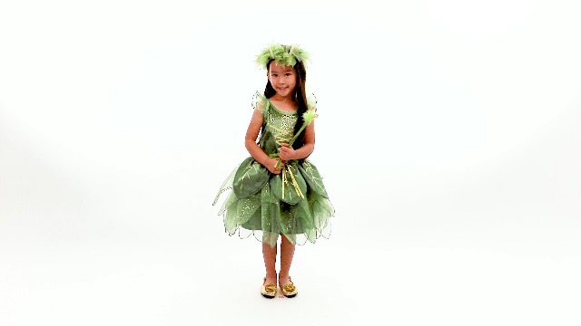 Disfraz Little Adventures Pixie Tinkerbell para niña miniatura 7