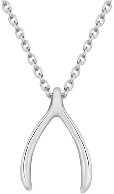 AOCHEE Delicate Lucky Wishbone Pendant Necklace Good Luck Wishbone Necklace 16"