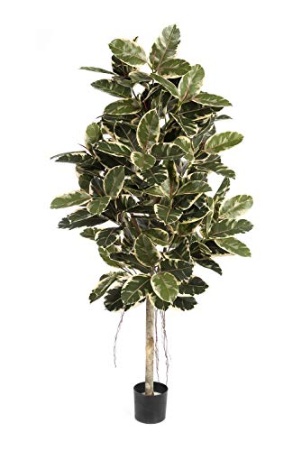 artplants.de Ficus Elastica artificial Devi, 226 folhas, verde, branco e amarelo, 210 cm - árvore sintética - planta decorativa