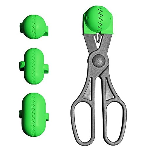 La Croquetera - Color Verde - utensilio Multiuso con 4 moldes Intercambiables para masas- para croquetas, albóndigas, Bolas, Sushi - 100% español : Patentado y Fabricado en España