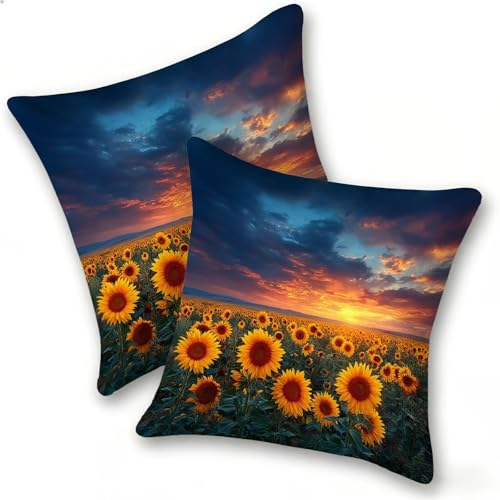 �N�b�V�����J�o�[ 2���Z�b�g 45x45cm �x���x�b�g �X�^�C�� �r���[�h �_�炩�� ���� �l�G�ʗp�x���A �\�t�@�w���� �������J�o�[ ���z�c�J�o�[ �k�� ������� �V���v�� ���n �N�b�V�����P�[�X �Q���p ���r���O�p �C���e���A �w������ �������J�o�[