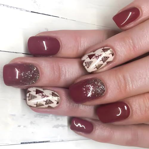 24PCSNX}Xc[vX܂̒Z`̋U̓BLLlH܃tJo[BɌŎ