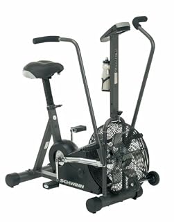 Schwinn Fitness Airdyne AD4 Upright 