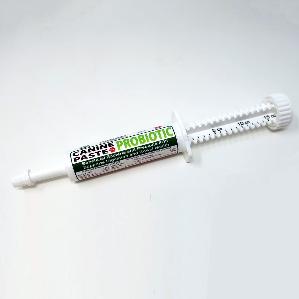 Dogzymes Probiotic Paste