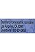 Hyland’s Homeopathic Arsenicum Album 6X, 250 Count