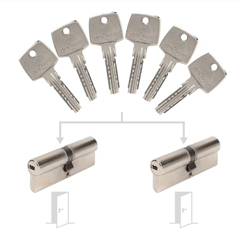 Pack de 2 cilindros Bricard Astral 40+40 entreabiertos con 6 llaves 2