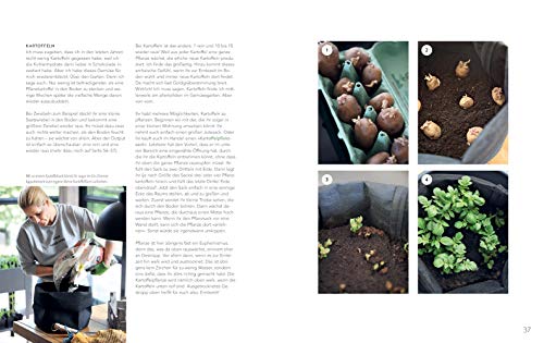 Homefarming: Selbstversorgung ohne grünen Daumen (GU Garten Extra) - 9