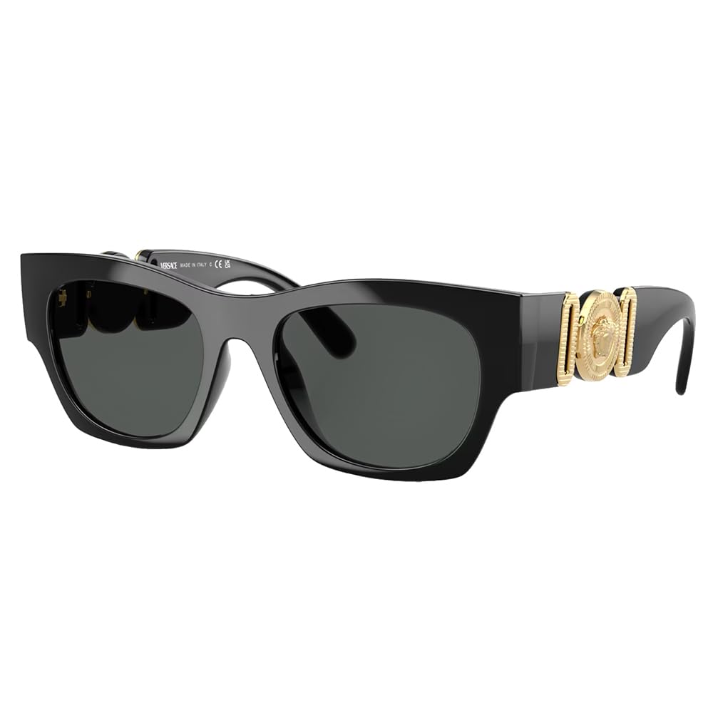 Versace Men's Black Ve4479u Sunglasses - Sunglasses - 52 Mm - Accessories