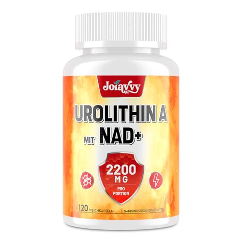 Joiavvy Urolithine A Gélules 2000 mg par Portion, Urolithin A Pure avec 200 mg de NAD+, Complément Mitochondrial 2 en 1, Ingrédients Naturels (120 Unité (Lot de 1))