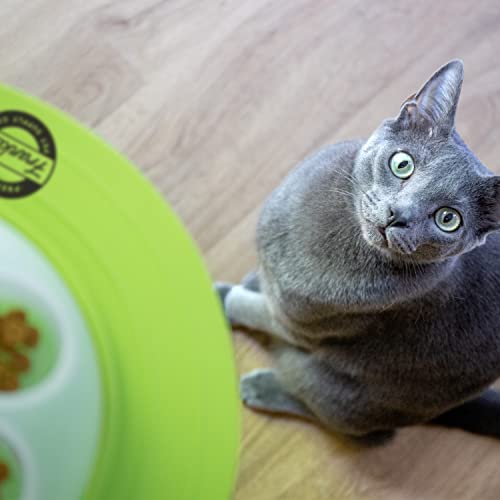 Franklin Pet Supply - Ciotola Per Gatti Interattiva Per Scavare Gatti E Mangimi Lenti, Giocattolo Per Gatti E Gattini - 11