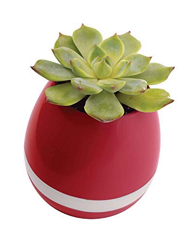 smart music flower pot manual