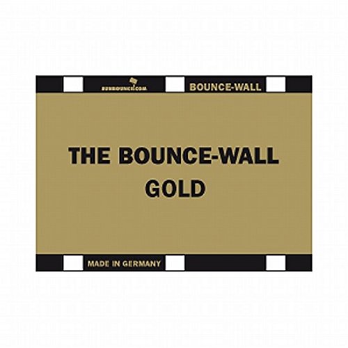 Sunbounce BOUNCE-WALL Pannello Riflettente A4 Zebra Oro/Argento - Retro Bianco Per Flash Removibile