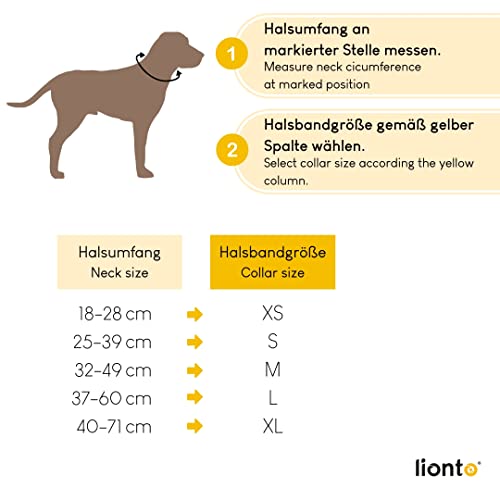 lionto Hundehalsband gepolstert Halsband Nylon reflektierend wasserfest verstellbar, Größe XL, beige