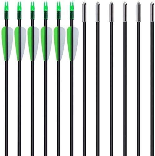 EROCK 12 flechas de arco de 30 pulgadas de fibra de vidrio para arco de recuperación y arco compuesto (0.236 in, punta fija y pluma de caucho)