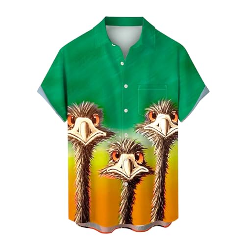 Camiseta de manga larga con botones y pantalones cortos para la playa, verde, 5XL