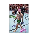 LOGAUT Sean O'Malley Poster Fighter Martial Poster Wall Art Canvas Print, Room Aesthetic Home Decoration Painting; (S303); Unframe; 12x18inch(30x45cm)