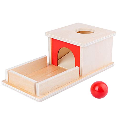 Montessori Bloques a juego, caja de objetos de permanencia de madera, caja de objetivo permanente con bandeja de bola, juguetes educativos para niños pequeños Cover