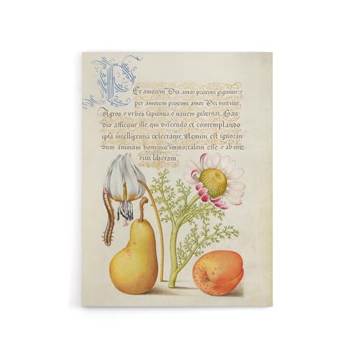 Artery8 Caterpillar Flowers and Fruit By Model Book of Calligraphy