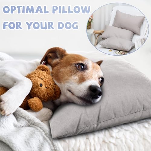 Image of Kigley 6 Pack Mini Pillows Bulk Small Pillows 14 inchx9 inch Soft Travel Nap Pillow for Daycare Nap Time Pet Neck Lumbar(Gray)