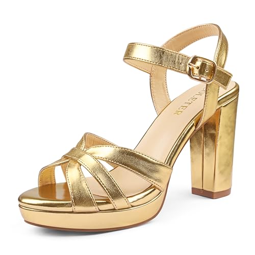 COLETER Women's Platform Chunky Heels Ankle Strap Block Heeled Sandals Party Wedding Shoes
