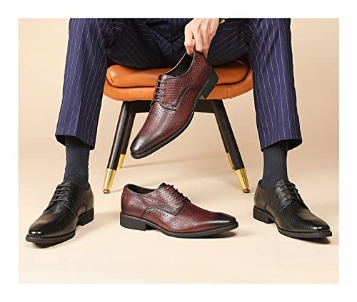 Zapatos Oxford masculinos de punta lisa bruñida y diseño elegante 5