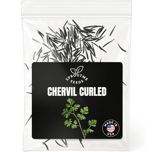 Chervil Winter Seeds for Planting – 300+ Non-GMO Heirloom Gourmet Culinary Herb Seeds (Anthriscus cerefolium)