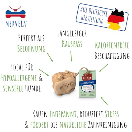 MERVELA® Kauwurzel für mittelere Hunde – Natürliches Kauspielzeug – Zahnpflege & Langlebig – Ideal für Starke Kauer – natürliche Beschäftigung (Kauwurzel Medium 1 Stück)